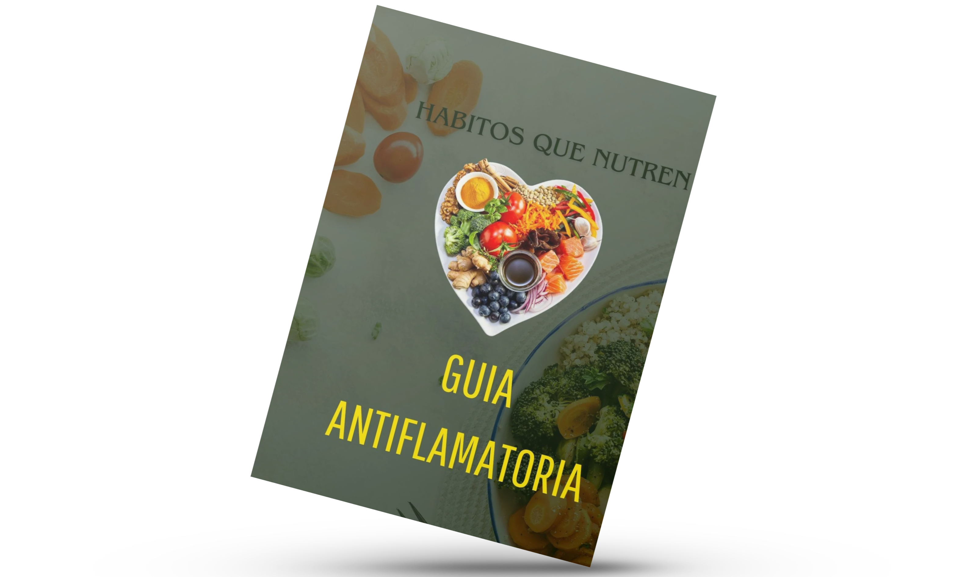Guia Antiflamatoria